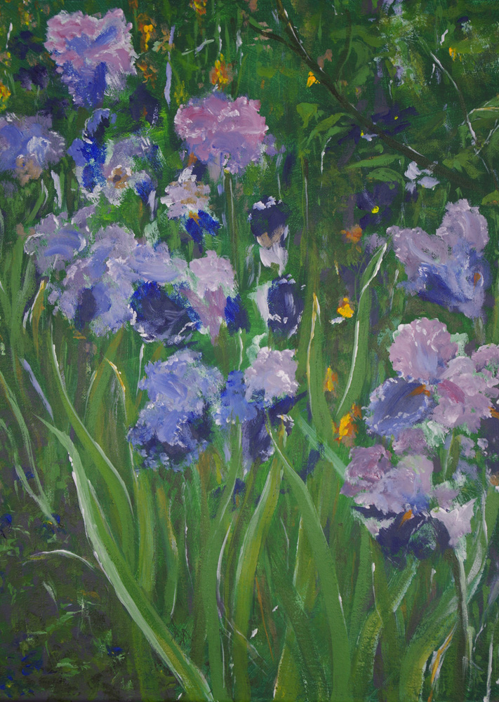 Des Iris