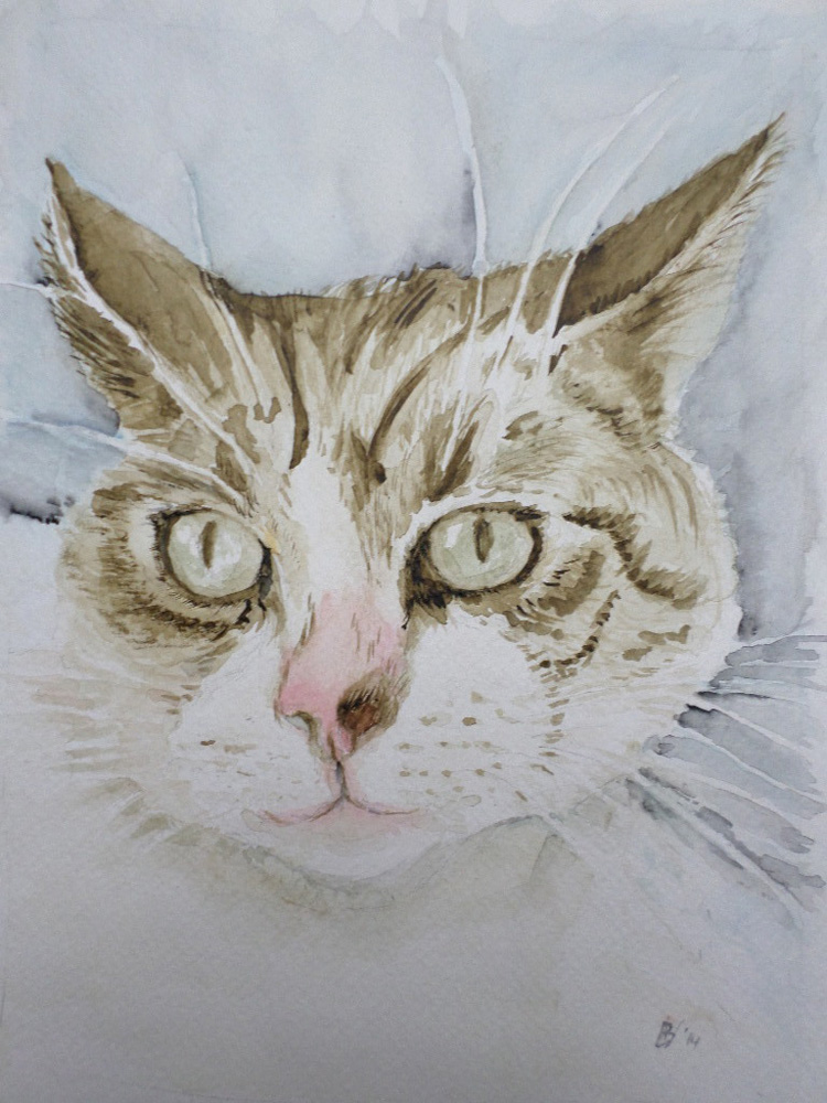 Notre chat Lolita